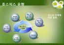 [노인복지] 호스피스 5페이지