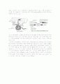 공동주택의 음식물쓰레기 배출방식과 에너지절약 13페이지