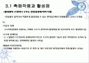 촉매 활성에 관해 촉매 활성점 4페이지