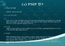 pmp 설명 및 판매전략 6페이지