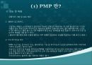 pmp 설명 및 판매전략 7페이지