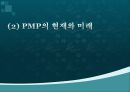 pmp 설명 및 판매전략 8페이지