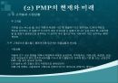 pmp 설명 및 판매전략 9페이지