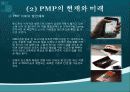 pmp 설명 및 판매전략 10페이지