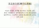 롸이겔루스의 교수설계전략 10페이지