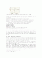 [취업전략] 지방대생의 성공적인 취업전략 - 인적성검사를 중심으로 18페이지