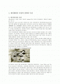 애니메이션 마케팅 전략 보고서 2페이지