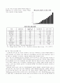 sns 마케팅 전략 5페이지