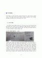 경영환경변화 12페이지