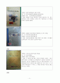 인터넷 정보검색과 활용 5페이지