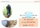 관광상품기획론(CanU? Extreme! Tourism Product Planning Team Project ) 9페이지