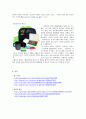 친환경주의와 패션 6페이지