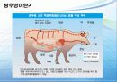 PD수첩과 국민의 알 권리 8페이지