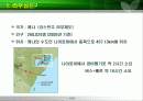 케냐 라무 축제 2페이지