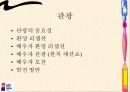 G20 회의에 대한 모든 것 9페이지