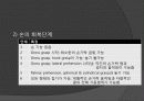 Rood, Brunnstrom, PNF 접근법 20페이지