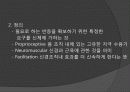 Rood, Brunnstrom, PNF 접근법 24페이지