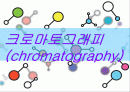 크로마토그래피 이론 1페이지