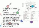 크로마토그래피 이론 10페이지
