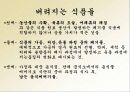 감 잎 특징 및 종류, 활용도, 과정, 좋은점 조사분석 8페이지