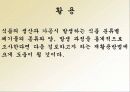 감 잎 특징 및 종류, 활용도, 과정, 좋은점 조사분석 10페이지