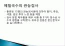 메밀을 첨가한 기능성의 품질, 특징 및 종류, 성분, 품질, 활용도, 과정, 좋은점 조사분석 7페이지