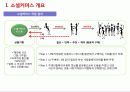 국내 소셜커머스 시장분석 4페이지
