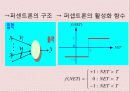 뉴로컴퓨터 요약 11페이지