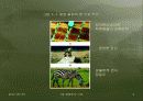01장 - 생화학의기반 4페이지