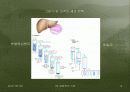 01장 - 생화학의기반 14페이지