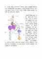 chapter 6 유전체 dna의 복제(첫번째) 5페이지