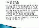 식품과 영양의 정의와 종류 및 유래, 특징, 분류, 효소, 제법, 갈변, 냄새, 색소, 맛, 활용도, 과정, 효능 조사분석 16페이지