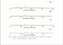 조리방법에 따른 감자의 비타민 C 함량변화 분석 및 종류, 특징, 역사, 제법, 활용도, 과정, 효능 조사분석 12페이지
