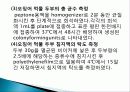오징어 먹물 두부의 제조 및 화학적 품질 특성, 종류와 유래 및 특징, 제법, 역사, 활용도, 과정, 효능 조사분석 16페이지