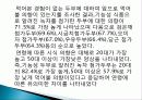 오징어 먹물 두부의 제조 및 화학적 품질 특성, 종류와 유래 및 특징, 제법, 역사, 활용도, 과정, 효능 조사분석 22페이지