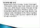 오징어 먹물 두부의 제조 및 화학적 품질 특성, 종류와 유래 및 특징, 제법, 역사, 활용도, 과정, 효능 조사분석 23페이지