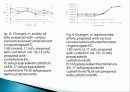 오징어 먹물 두부의 제조 및 화학적 품질 특성, 종류와 유래 및 특징, 제법, 역사, 활용도, 과정, 효능 조사분석 33페이지