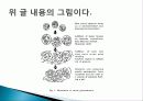 유색미 전분의 성질과 유색미 첨가가 유과의 품질에 미치는 영향 총체적 조사분석 11페이지