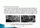 유색미 전분의 성질과 유색미 첨가가 유과의 품질에 미치는 영향 총체적 조사분석 62페이지