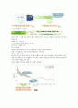소리의 특성 요약   21페이지
