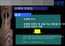 성매매 14페이지