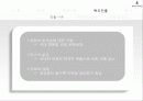 빈폴 분석 18페이지