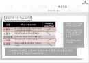 빈폴 분석 20페이지