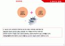 e-bay분석 28페이지