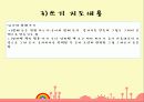 균형적 언어교육법 13페이지
