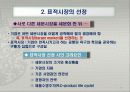 글로벌 경영환경에서의 시장세분화 전략 13페이지