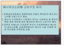 고유가시대 현 정부의 에너지 정책 및 문제점과 해결방안  19페이지