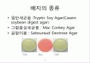 총 부유세균이란 무엇이며 그 측정방법에 대해 논하시오. 11페이지