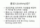 총 부유세균이란 무엇이며 그 측정방법에 대해 논하시오. 16페이지