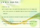 벼의 줄기의 생장 11페이지